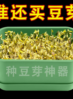绿色塑料育苗盘长方形种植豆芽芽苗菜家用发芽盆营养钵发豆芽神器
