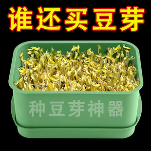 绿色塑料育苗盘长方形种植豆芽芽苗菜家用发芽盆营养钵发豆芽神器