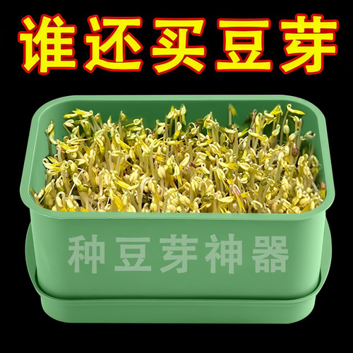 绿色塑料长方形育苗盘发豆芽神器