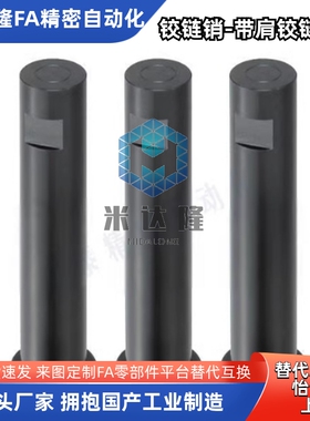 CLSW CLSWH SCLSW5 6/8/10/12/14/15/16/17/18/20/25双止转铰链销