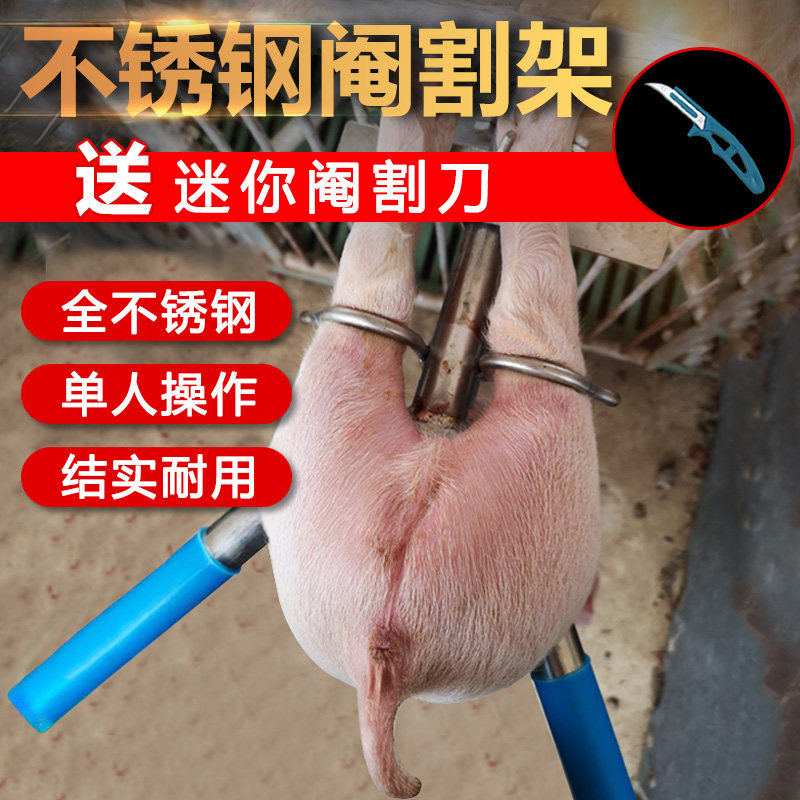 仔猪阉猪架 小猪阉割器敲猪架仔猪阉割架猪用设备t 猪仔阉割去势