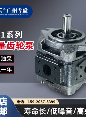 变量泵HG1-25-01R-VPC HG1-25/32/40/50-01R-VPC/VSC-G齿轮油泵