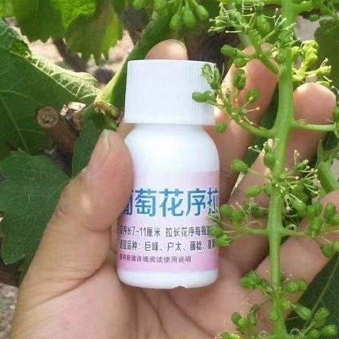葡萄花穗 果穗拉长剂 拉穗剂 夏黑 京亚 户太 红提 克瑞森30毫升
