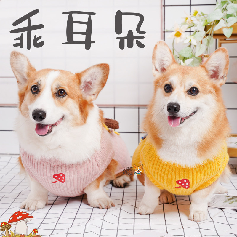 婉蔓柯基  大乖耳朵柯基宠物毛衣秋冬款保暖狗狗衣服可爱包邮衣服