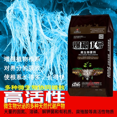 阿姆斯爆根一号爆根肥o爆芽肥月季促笋生根肥有机生物菌肥底缓施