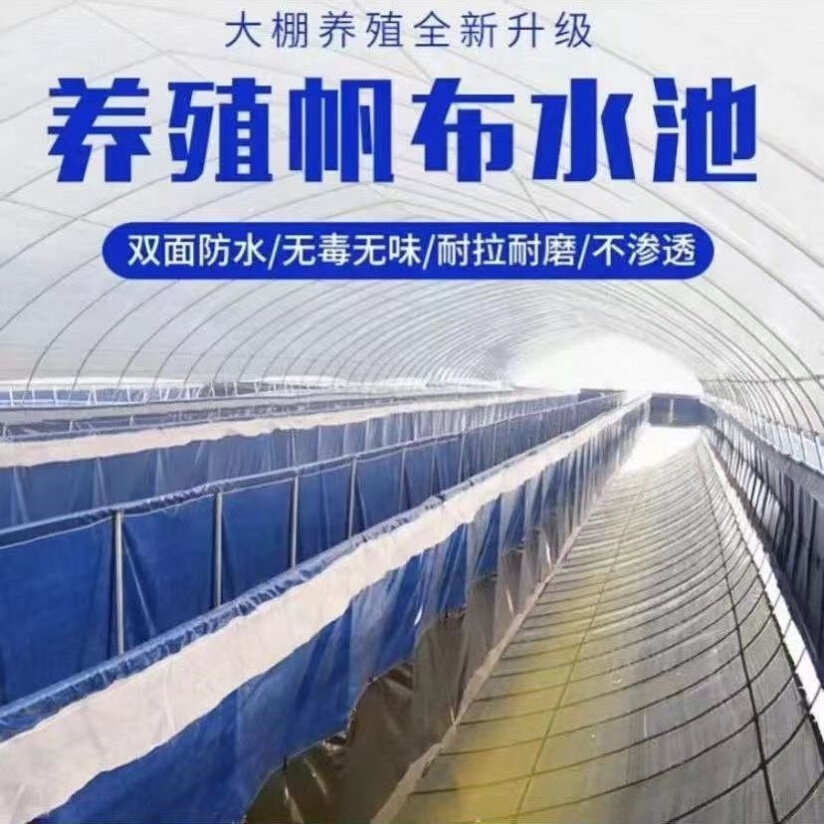 新款帆布鱼池防水布加厚户外养鱼池水产养殖室外大型塑料水池雨布