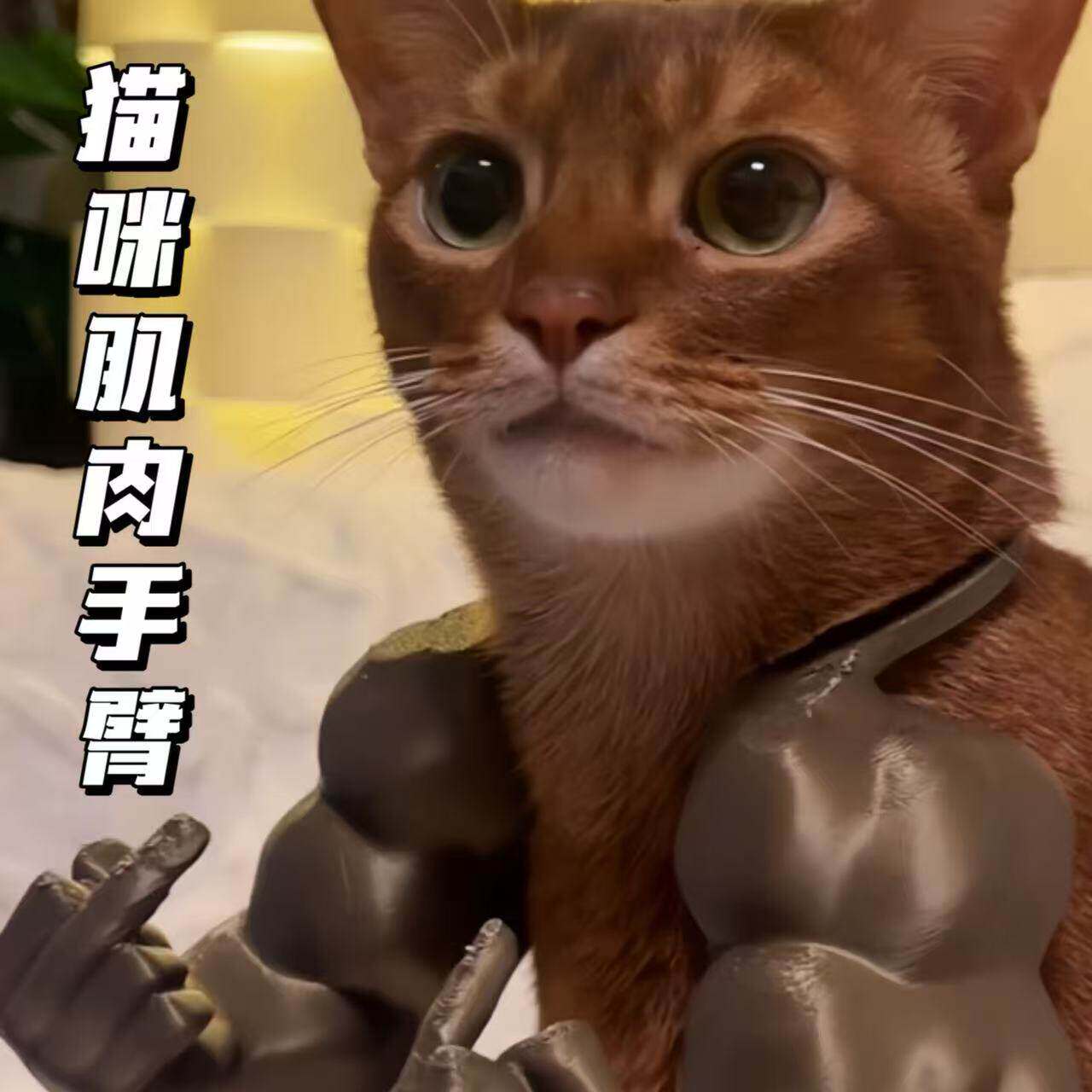 网红猫咪肌肉手臂中指拳头3D打印整蛊恶搞小玩具宠物玩具解压神器