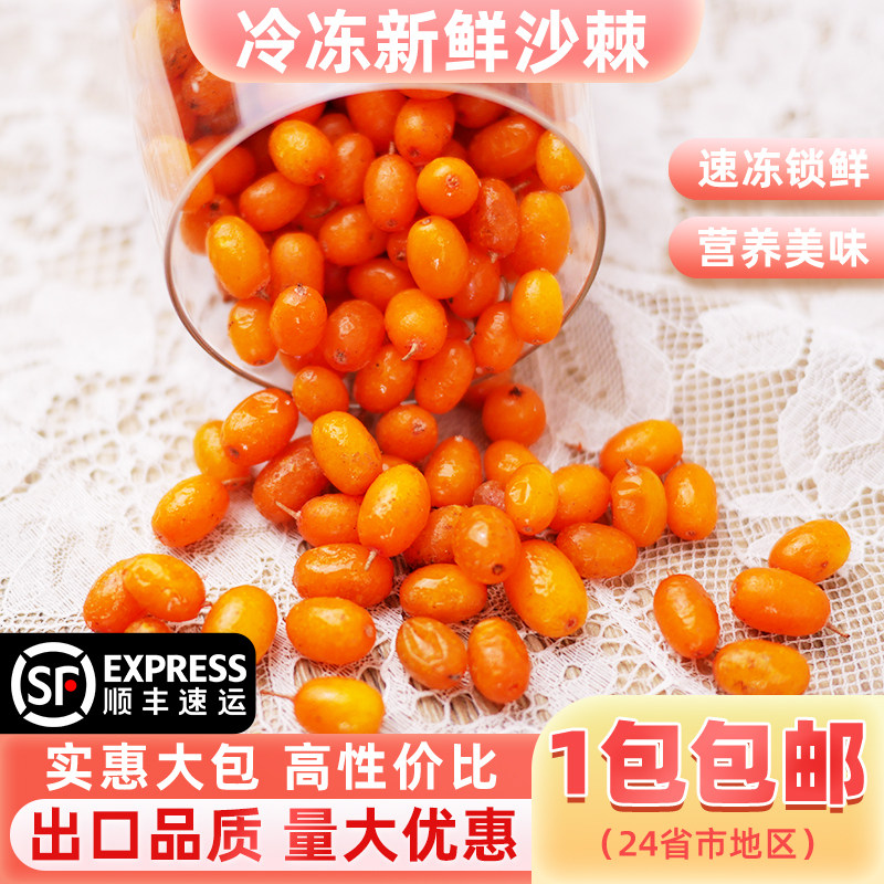 冷冻新鲜沙棘果速冻沙棘原浆1000g果汁奶昔冰沙酵素榨汁奶茶店用