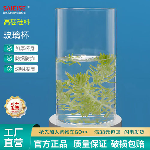 SAIEISE玻璃杯透明平口平底