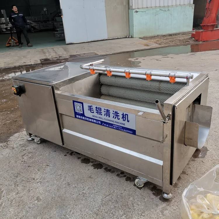 小型毛辊清洗脱皮机生姜洋葱清洗去皮机全自动果疏清洗设备