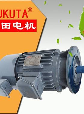 GFVF系列变频电机0.75W1.5WFUUTA铸铁立式马达