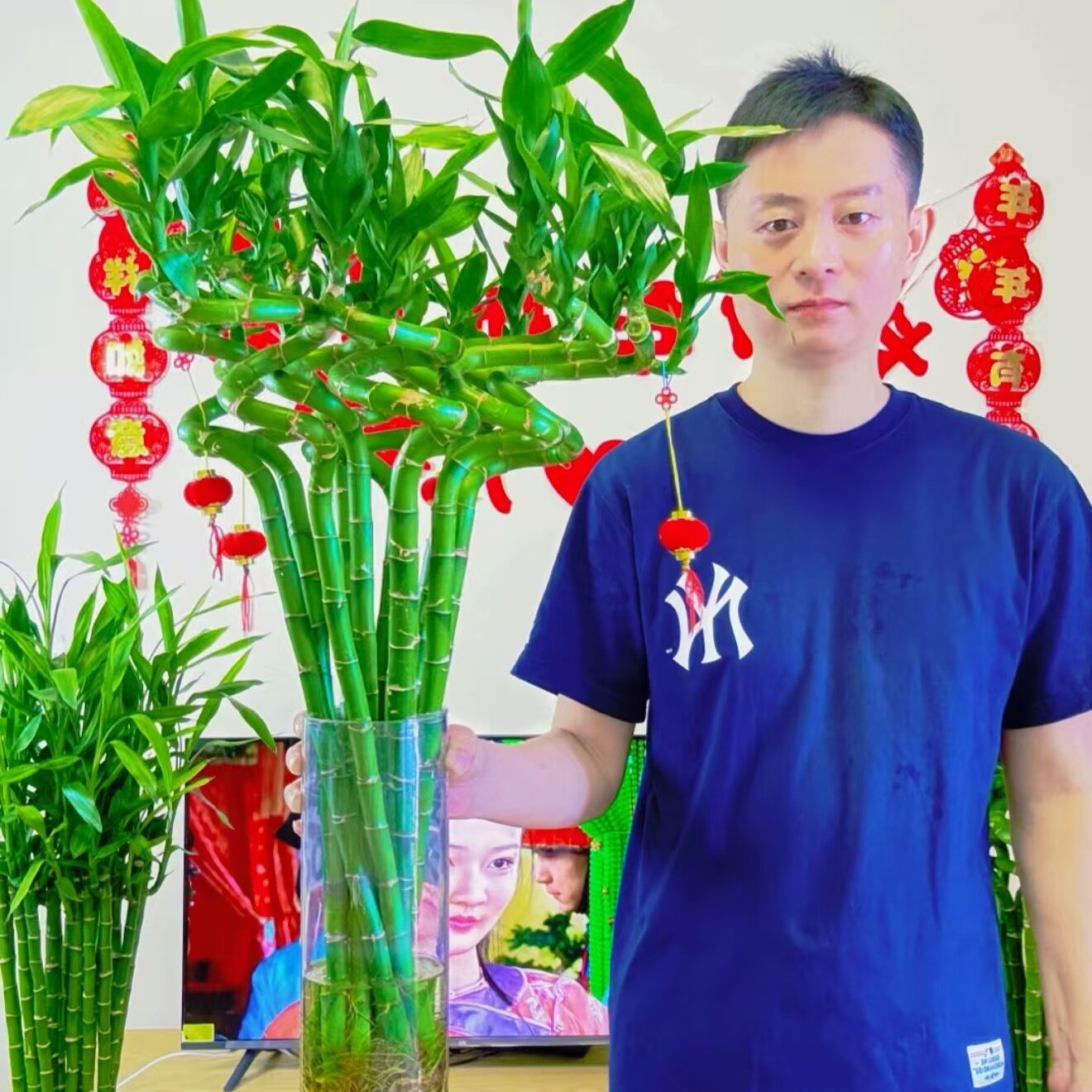 水培富贵竹发财竹转运带根带盆