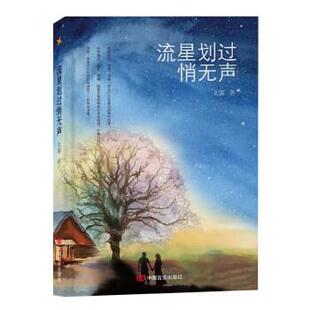 社 中国言实出版 文馨 9787517141150 流星划过悄无声