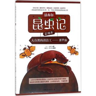 潘昌礼 编译 9787512714939 法 法布尔 社 圣甲虫 中国妇女出版 陈红波 大自然 著 清洁工