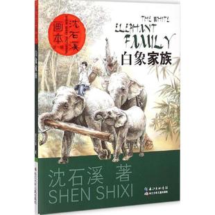 9787556022359 白象家族 长江少年儿童出版 社 起点插画 沈石溪画本 沈石溪 辑