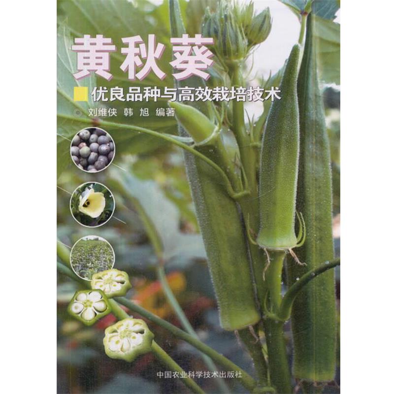黄秋葵优良品种与高效栽培技术 9787511633613 中国农业科学技术出版社 刘维侠,韩旭 著