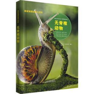 天津科技翻译出版 公司 西班牙 国家地理动物大百科 冯珣 9787543337565 Sol90编 译 无脊椎动物