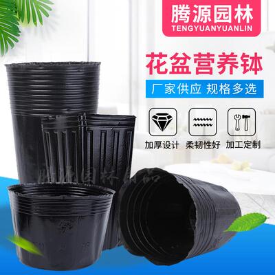 营养钵塑料育苗盆花盆苗圃植物加厚黑色园艺种植花瓶花盆厂家