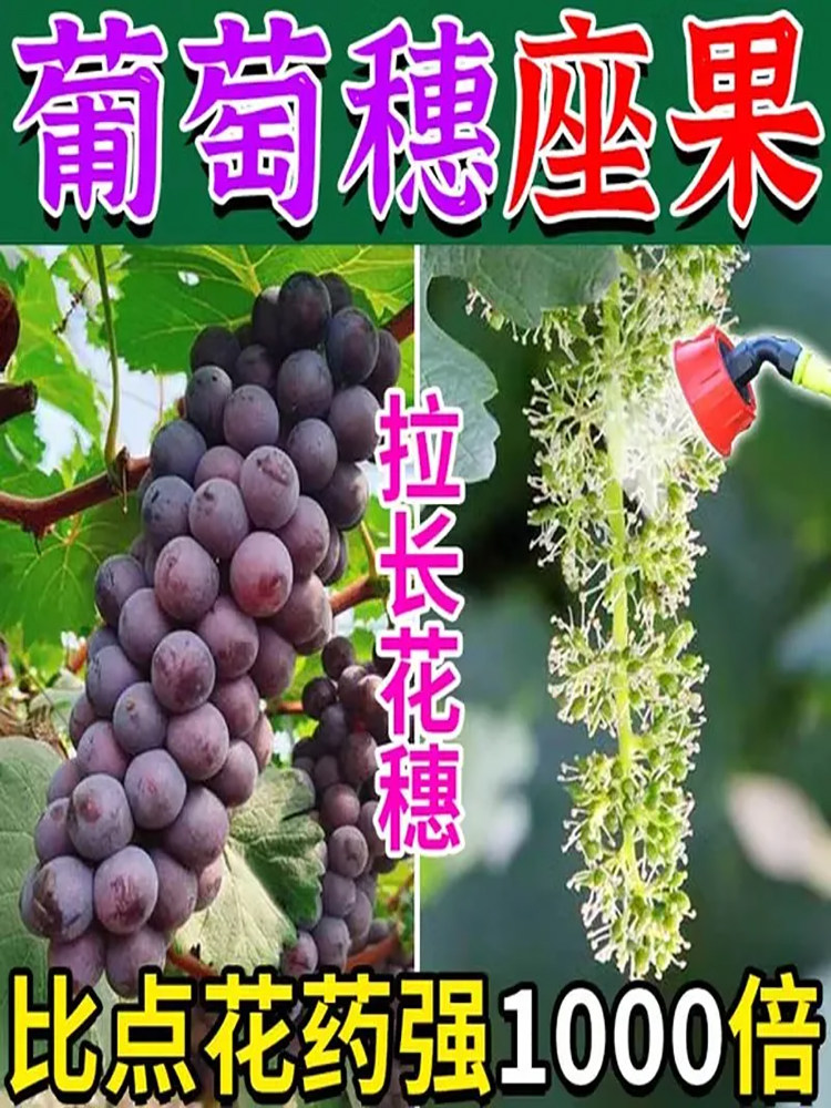 葡萄保花保果药防落坐果灵强力授粉沾花防裂果膨大增甜专用叶面肥