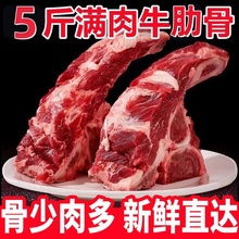 牛排骨新鲜带肉牛肋排牛肋骨生鲜牛肉牛仔骨带骨牛肋条原切商用