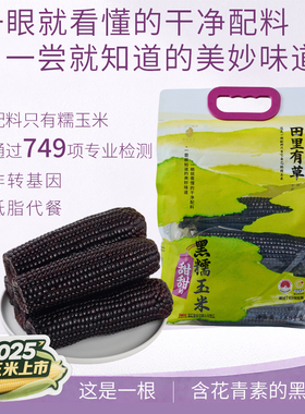 田里有草甜黑糯新鲜东北非转基因新鲜玉米真空袋装早餐代餐