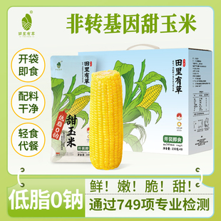 田里有草新鲜东北非转基因水果甜玉米开袋即食真空包装免煮早餐