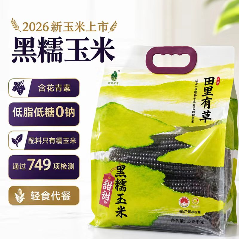 田里有草甜黑糯新鲜东北非转基因玉米