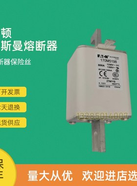 全新快速熔断器e保险170M5118 170M5119 170M5138 170M5139