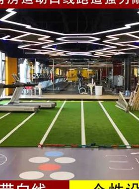 健身房草坪私教j草坪地毯定制刻度工作室黑色草白线条绿色室内户