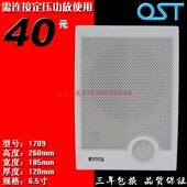 挂壁音箱 墙壁喇叭教室音箱 扬声器听力训练塑料 壁挂音箱g 工程