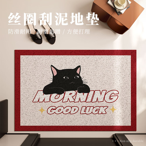入户地垫高级感玄关门内长方形防滑D脚垫家用进户客厅蹭土丝圈门