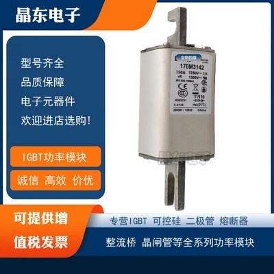 170M3269 170M3270 170M3271 170M3272 170M3273全新熔断器保险丝