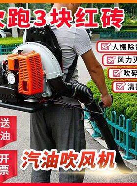 背负式吹风机汽油落叶四冲程风力灭火大功率大棚吹雪道路除尘鼓风