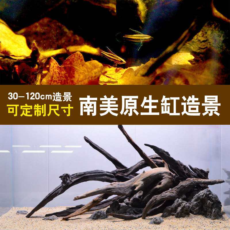 鱼缸超白缸南美造景 水草缸 水陆缸 雨林缸 海水缸 原生缸造景