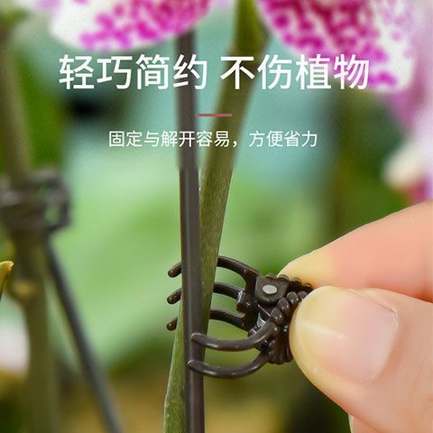 花卉绿植固定夹蝴蝶兰固定夹子兰花固定夹子爬藤植物支架造型