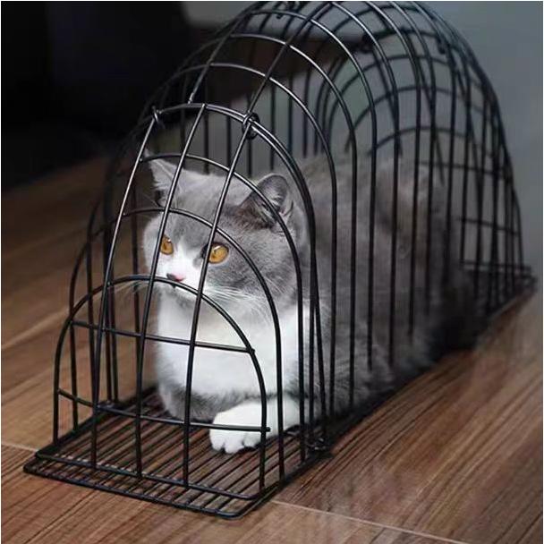 洗猫笼猫咪洗澡专用神器防抓咬