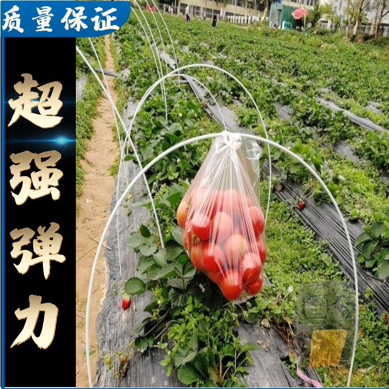 促蔬菜棚支架菜棚保温棚花棚拱玻纤杆农G用小大纤维棒卷玻璃钢弹怎么样,好用不?