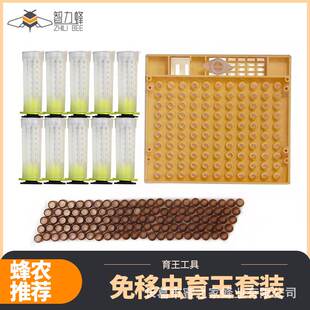 蜜蜂育王盒免移虫护王罩养蜂工具蜂王育王台基王台杯欧式育王套装