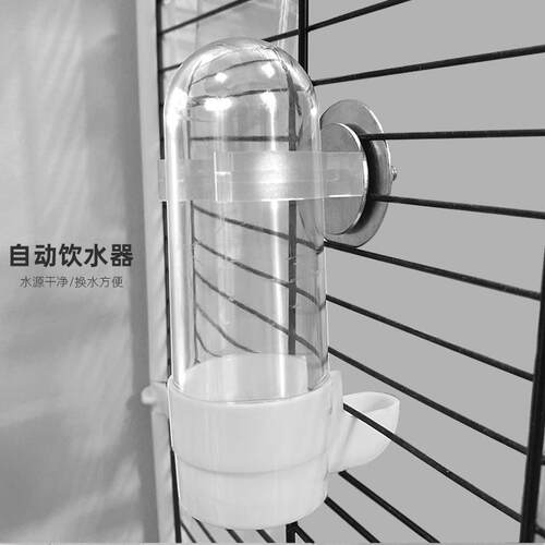 鹦鹉饮水器鸟鸟用具喂水壶鸟喝水瓶文鸟虎皮牡丹玄凤自动喂水器