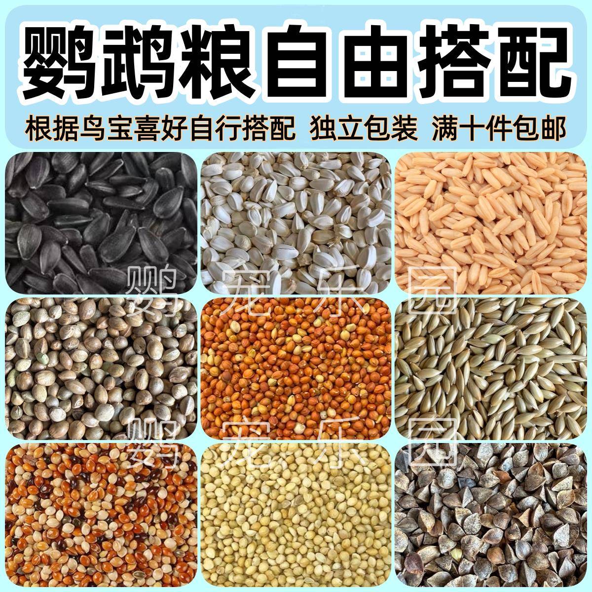 【天猫甄选】鹦鹉自配鸟粮玄凤牡丹小太阳和尚虎皮鸟食谷子瓜子亚图片