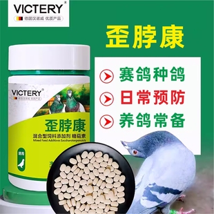 汉诺威歪脖康100片信赛鸽种鸽子歪脖子扭头仰颈转头转圈非鸽子药