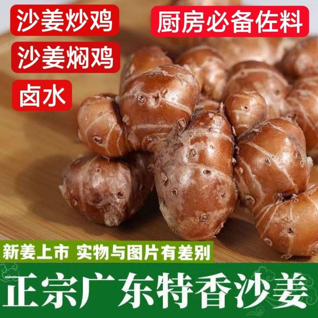 广东沙姜新鲜生山奈三奈白切鸡正宗特产老姜椰子鸡蘸调味香料包邮