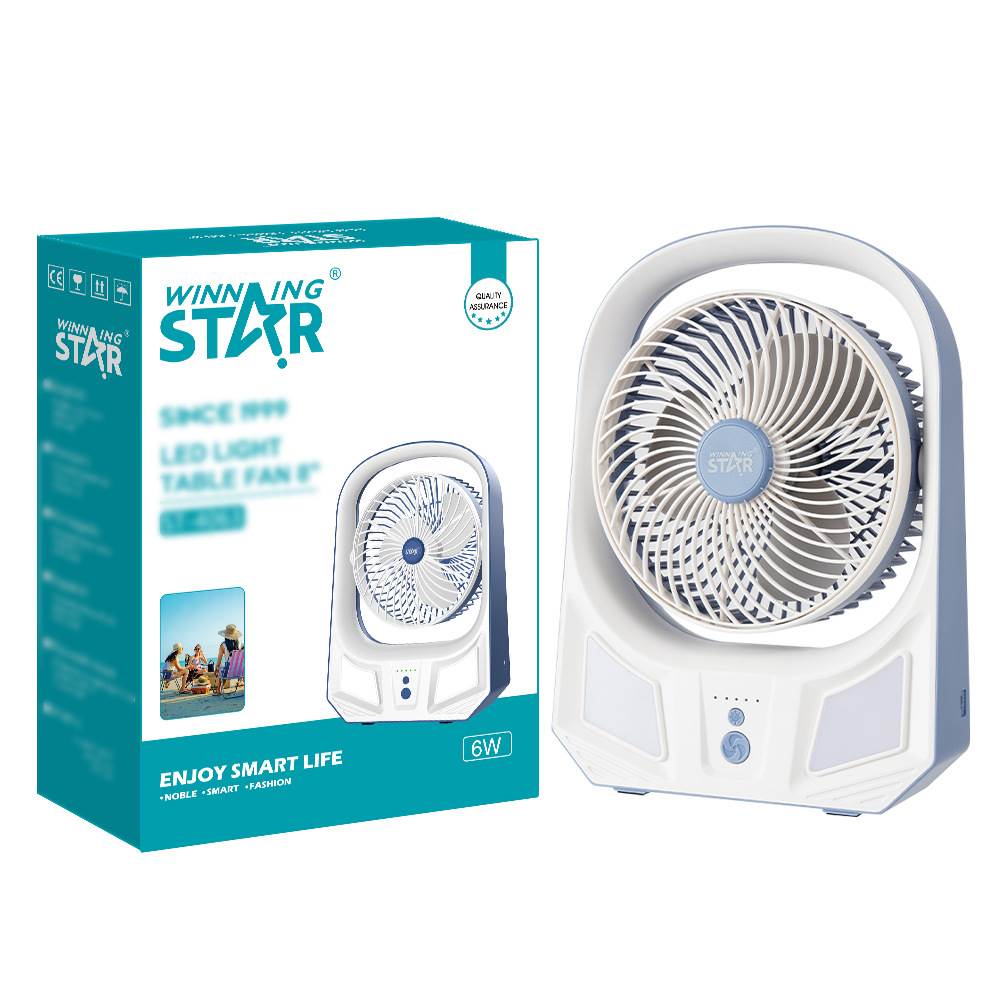 winning star跨境TYPE-C和USB接口小型8寸方便携带DC5V台式电风扇