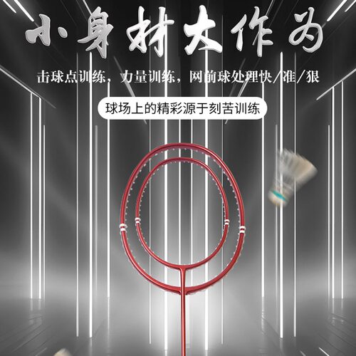 羽毛球拍成人训练球拍全碳素超轻5u户外男小拍框羽毛球拍