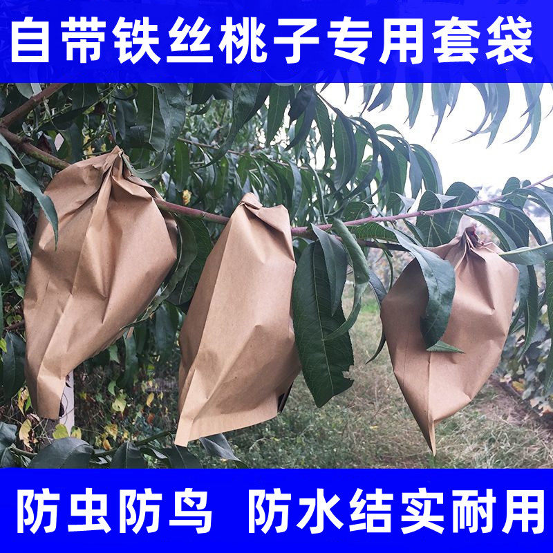 桃子专用套袋枇杷梨子黄桃芒果纸袋水果套袋防水防虫防鸟果树套袋
