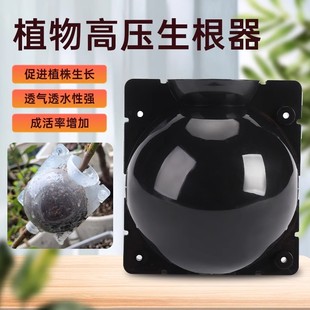 植物高压繁殖嫁接盒花卉果树控根神器扦插枝繁殖球生根育苗繁殖器