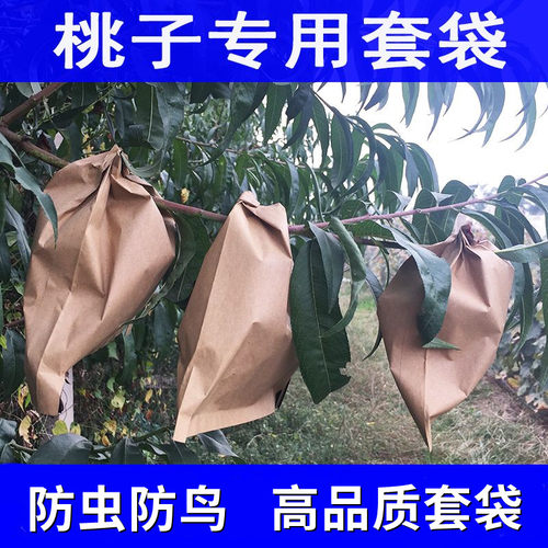 桃子专用套袋防鸟虫果树套袋