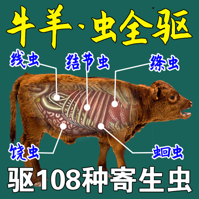 牛羊驱虫药全驱净线虫条虫蛔虫寄生虫孕畜可用兽用百虫清打虫专用