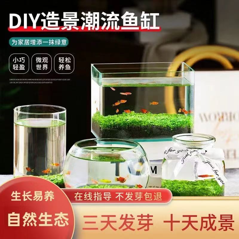 玻璃透明鱼缸水草种子微景观居家轻奢休闲桌面水草泥创意生态草泥