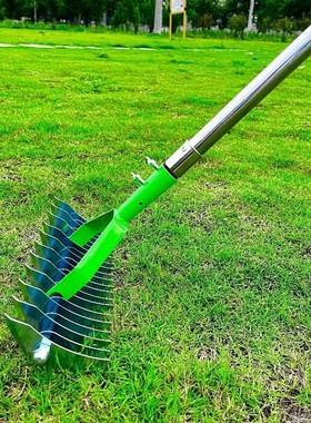 草坪耙 枯草茅草耙 园艺落叶耙土壤耙Garden Thatch Rake工厂